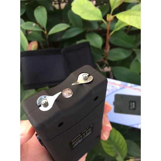 俄罗斯方块800型电棍图片