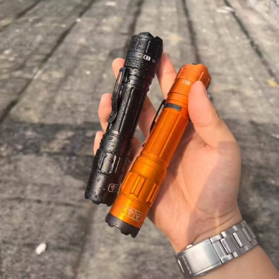 W-01防身电棍手电筒图片