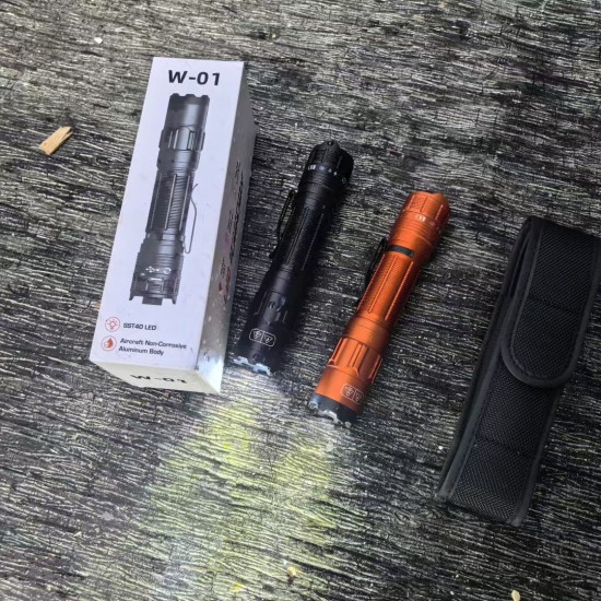 W-01防身电棍手电筒图片