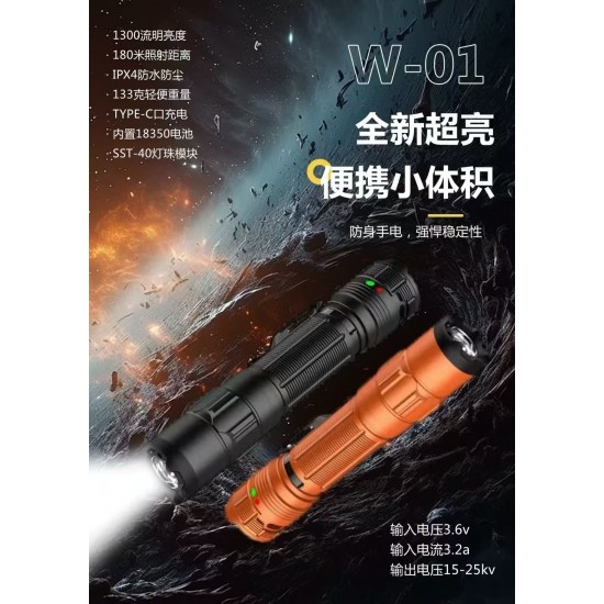 W-01防身电棍手电筒图片